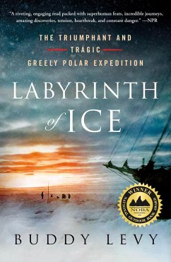 Labyrinth of Ice - Levy, Buddy
