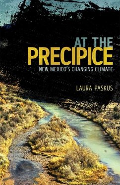 At the Precipice - Paskus, Laura