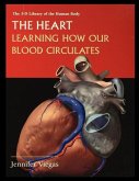 The Heart: Learning How Our Blood Circulates