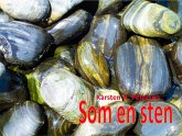 Som en sten (eBook, ePUB) Som en sten (eBook, ePUB)