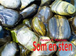 Som en sten (eBook, ePUB)