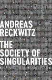 Society of Singularities (eBook, ePUB)