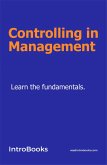 Controlling in Management (eBook, ePUB)