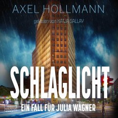 Schlaglicht (MP3-Download) - Hollmann, Axel