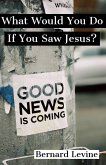 What Would You Do If You Saw Jesus? (eBook, ePUB)