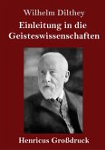 Einleitung in die Geisteswissenschaften (Großdruck)