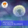 Meditation Live Free of Allergies... - Bild 1