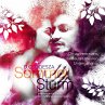 Sommer Sturm (MP3-Download) - Bild 1