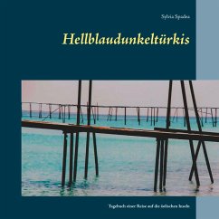 Hellblaudunkeltürkis (eBook, ePUB)