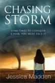 Chasing The Storm (eBook, ePUB)