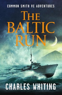 Cover The Baltic Run (eBook, ePUB)