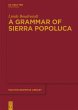 A Grammar of Sierra Popoluca - Bild 1