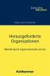 Herausgeforderte Organisationen - Bild 1