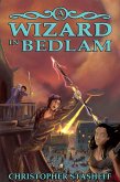 A Wizard in Bedlam (Chronicles of the Rogue Wizard, #2) (eBook, ePUB)