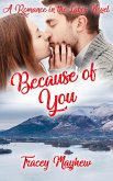 Because of You (Romance in the Lakes, #2) (eBook, ePUB)