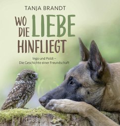 Wo die Liebe hinfliegt (Mängelexemplar) - Brandt, Tanja