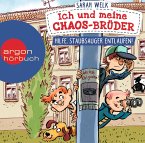 Hilfe, Staubsauger entlaufen! / Ich und meine Chaos-Brüder Bd.2 (1 Audio-CD)