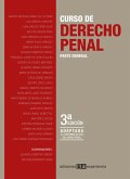Curso de Derecho Penal (eBook, PDF)
