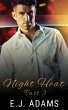 Night Heat Part 3 (Night Heat: An Alpha... - Bild 1
