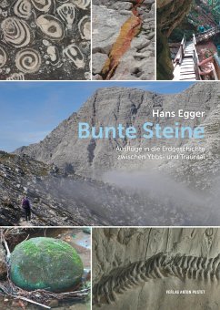 Bunte Steine - Egger, Hans