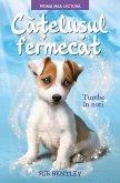 Cățelușul Fermecat (eBook, ePUB)