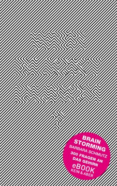 Brainstorming (eBook, ePUB) - Schmutz, Barbara