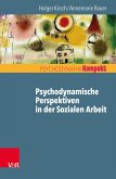 Psychodynamische Perspektiven in der Sozialen Arbeit (eBook, ePUB)