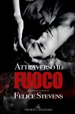 Attraverso il fuoco (eBook, ePUB)