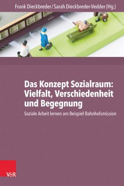 Das Konzept Sozialraum: Vielfalt, Verschiedenheit und Begegnung (eBook, ePUB)