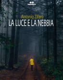 La luce e la nebbia (eBook, ePUB)