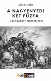 A nagyenyedi két fűzfa (eBook, ePUB) A nagyenyedi két fűzfa (eBook, ePUB)
