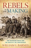 Rebels in the Making (eBook, ePUB)
