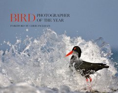 Bird Photographer of the Year - Bird Photographer of the Year