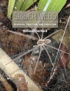 Cover Spider Webs