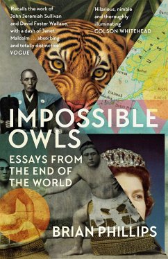 Impossible Owls - Phillips, Brian