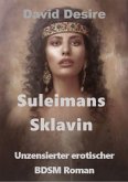 Sulaimans Sklavin (eBook, ePUB) Sulaimans Sklavin (eBook, ePUB)