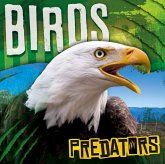 Birds Birds
