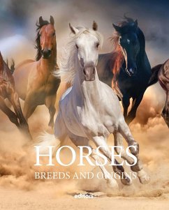 Horses - Dalmau, David; Bocharan, Salvador