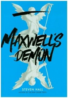 Maxwell's Demon - Hall, Steven
