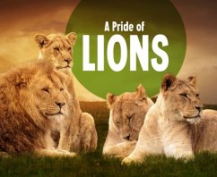 Cover Pride of Lions