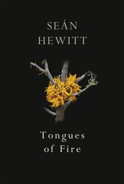 Tongues of Fire - Hewitt, Sean