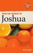 Food for Thought in Joshua (eBook, ePUB) - Bild 1