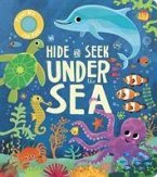 Hide and Seek Under the Sea