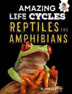 Cover Reptiles and Amphibians - Amazing Life Cycles
