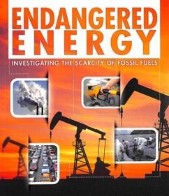 Endangered Energy - Iyer, Rani