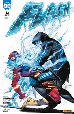Cover Flash, Band 13 (eBook, ePUB)