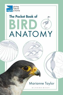 The Pocket Book of Bird Anatomy - Taylor, Marianne