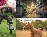 An Exercise in Strength (eBook, ePUB)