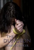 The Dungeon (eBook, ePUB)