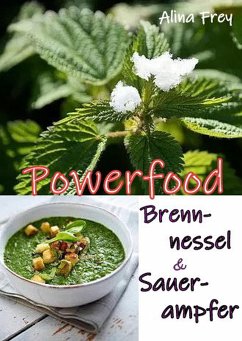 Powerfood (eBook, ePUB) - Frey, Alina